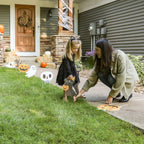 Haunt & Co Big Dot of Happiness Jack-O'-Lantern Halloween - Black Cat Ghost Skull & Witch Hat Lawn Decor - Outdoor Kids Halloween Party Yard Decorations - 10 Pc