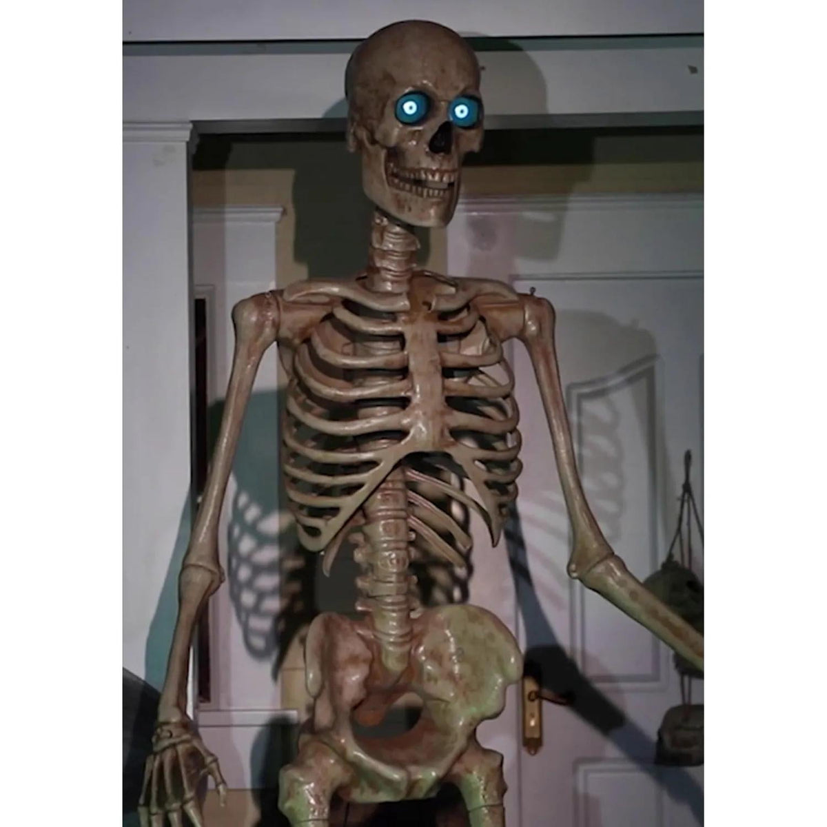 Haunt & Co Animated Towering Skeleton with Projection Eyes - 8 ft