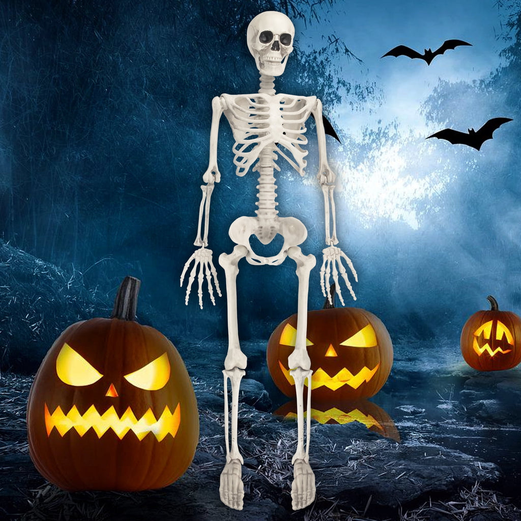 Haunt & Co OZMI Halloween Skeleton Decoration for Haunted House, 38 Inch Full Body Plastic Skull Skeleton with Posable Joints