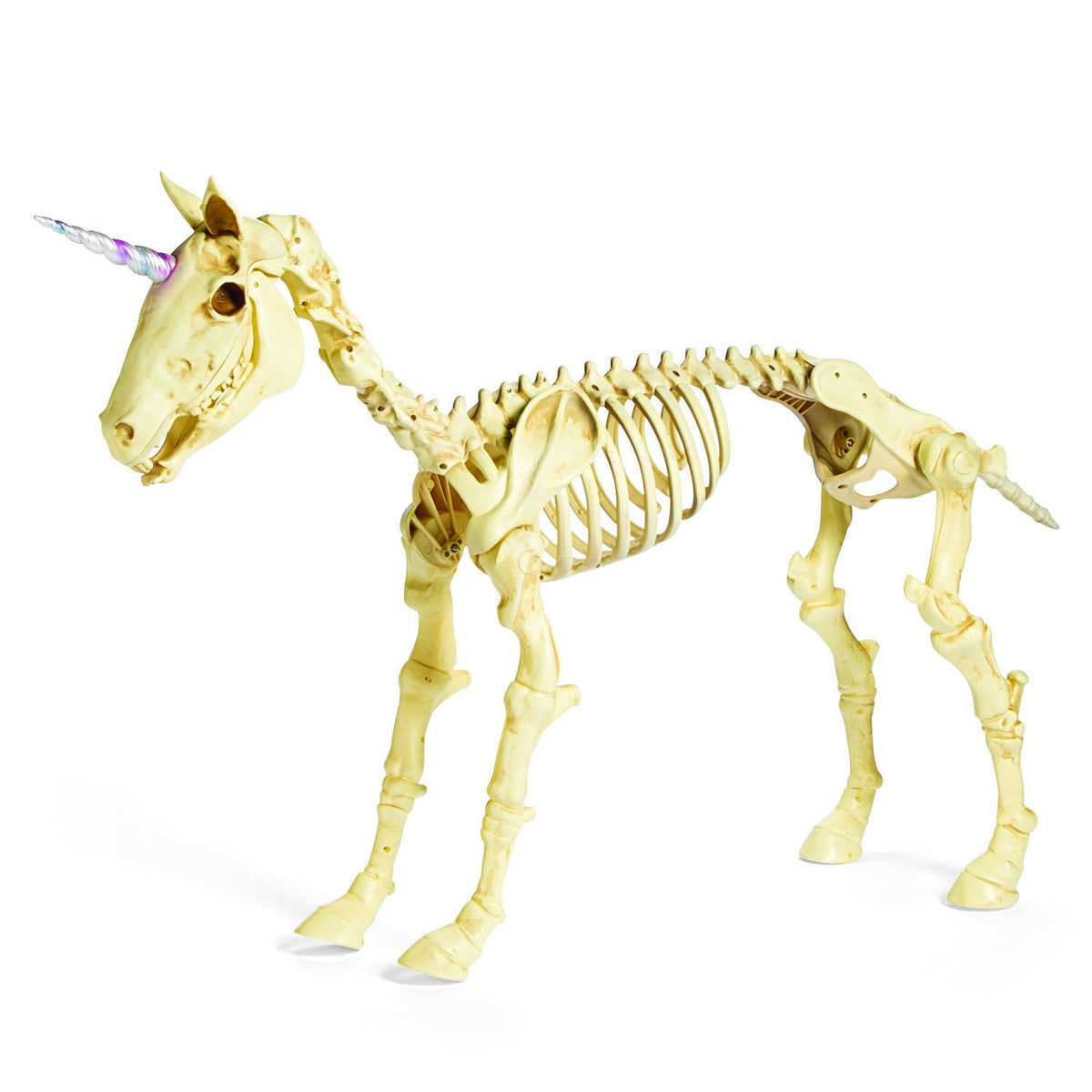 Haunt & Co Fun Express White Unicorn Skeleton Outdoor Decor, Halloween Macabre Design