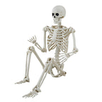 Haunt & Co Hanging Posable Skeleton Decoration, White, 5', Halloween