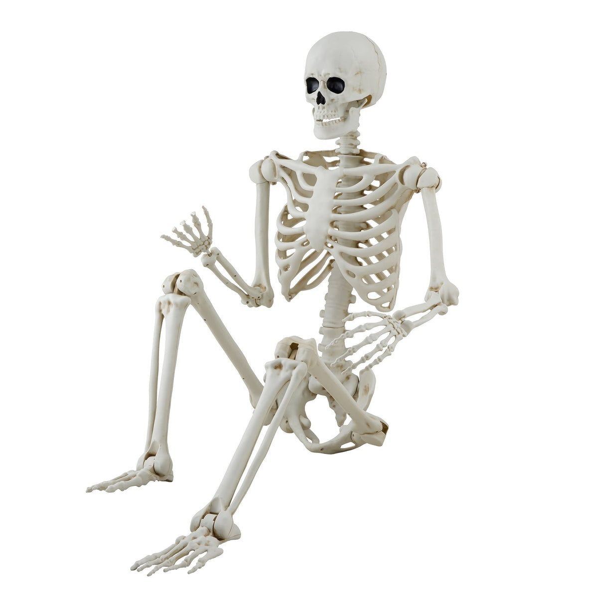Haunt & Co Hanging Posable Skeleton Decoration, White, 5', Halloween