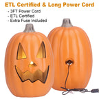 Haunt & Co 16in Pre-lit Halloween Pumpkin Jack O' Lantern with Bulbs