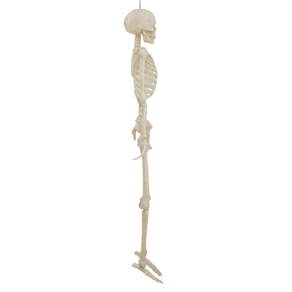 Haunt & Co 5-foot Poseable LED Illuminated Skeleton