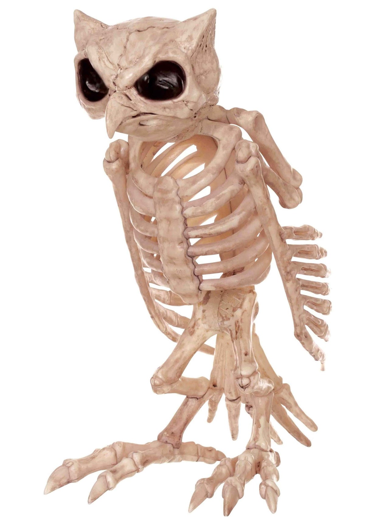 Haunt & Co USA Owl Skeleton - 13.5 in