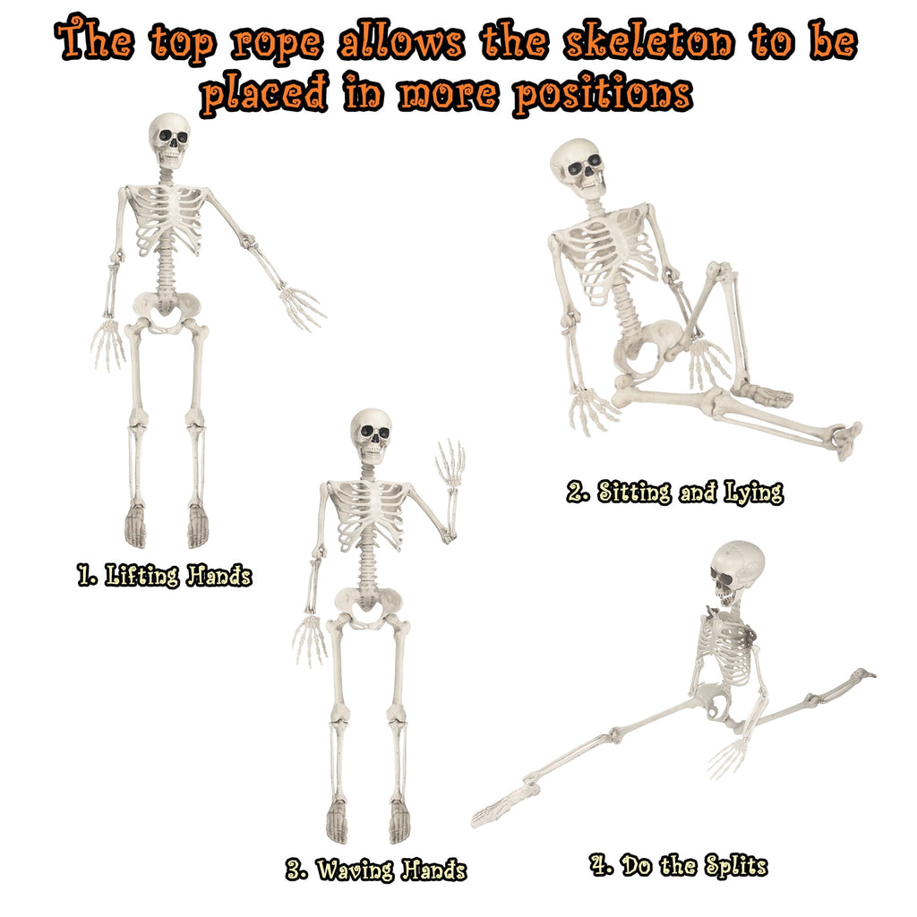 Haunt & Co OZMI Halloween Skeleton Decoration for Haunted House, 38 Inch Full Body Plastic Skull Skeleton with Posable Joints