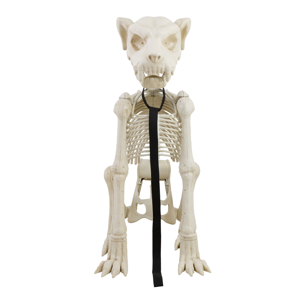 Haunt & Co 60-inch Animated Beige Skeleton Dog