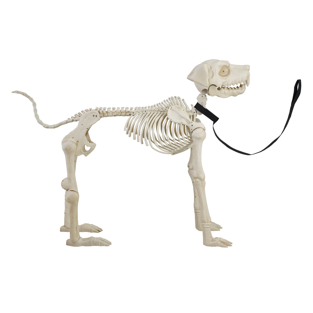 Haunt & Co 60-inch Animated Beige Skeleton Dog