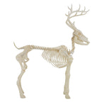 Haunt & Co LED Illuminated Deer Skeleton, 60-inch