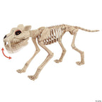 Haunt & Co USA SEW81896 18.5 in. Animated Light-Up Tiger Skeleton