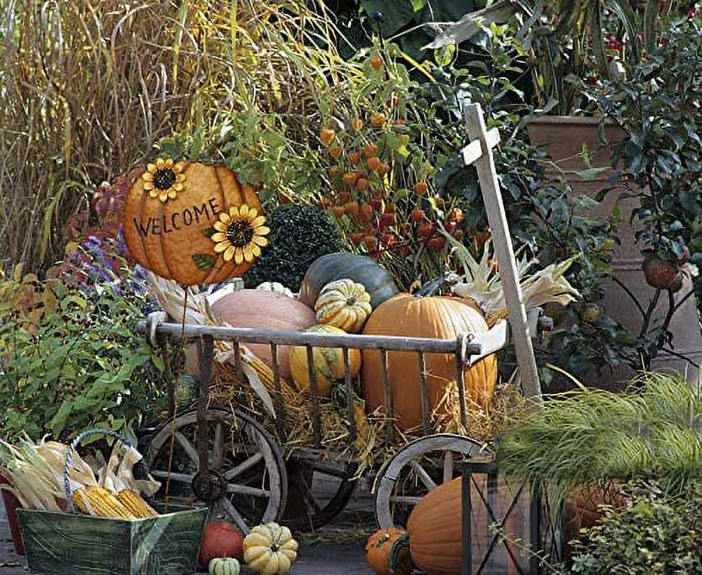 Haunt & Co Pumpkin Garden Stake Metal Welcome Sign Fall Decor, Decorative Pumpkin Yard Garden Dcor Outdoor for Autumn Harvest Thanksgiving Halloween Rustic Pumpkin Decoration for Home (1, 14inX36.75in)
