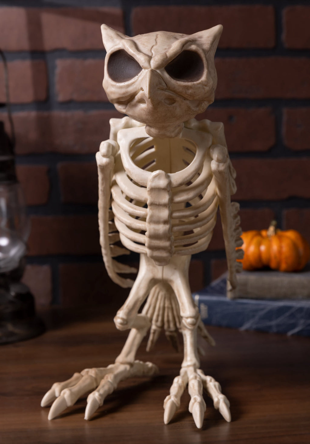 Haunt & Co USA Owl Skeleton - 13.5 in