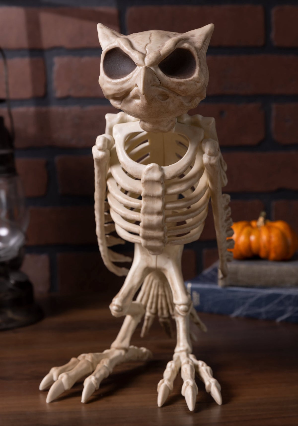 Haunt & Co USA Owl Skeleton - 13.5 in