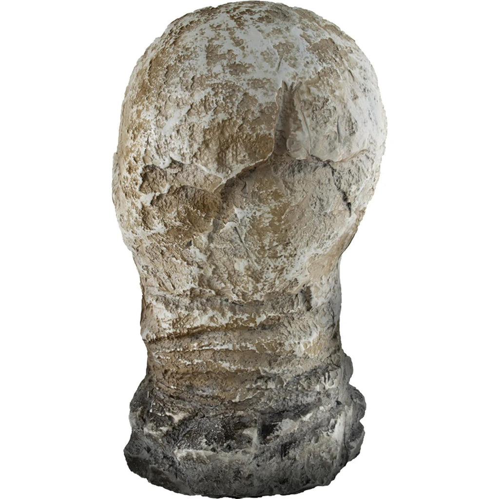 Haunt & Co Tekky Toys 12" Light-Up Animated Flaming Rotted Skull