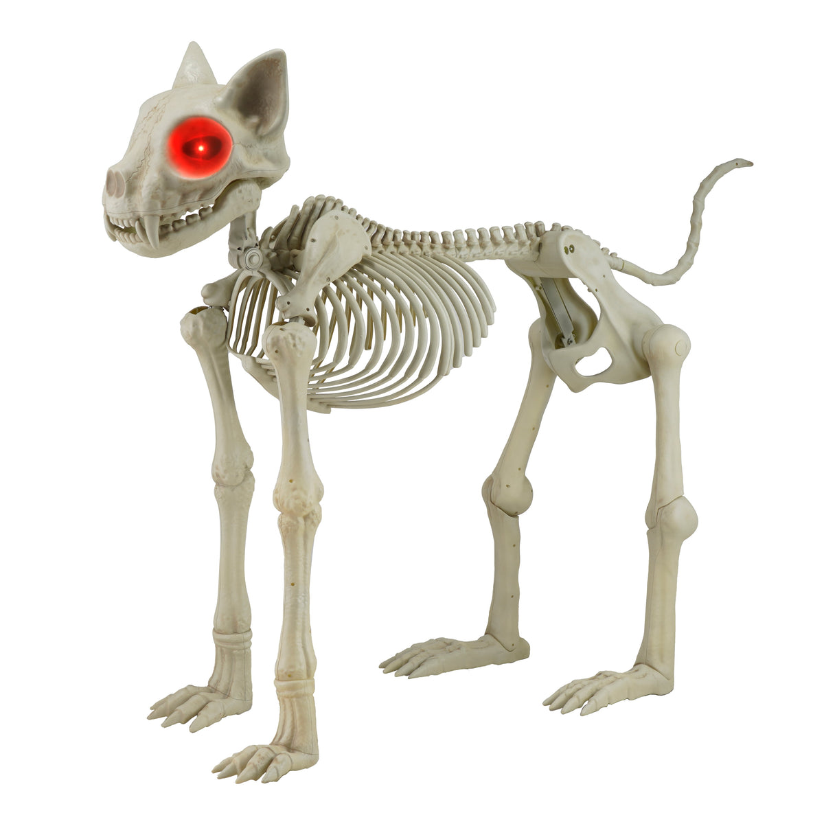 Haunt & Co Beige Plastic Animated Skeleton Cat, 60-inch