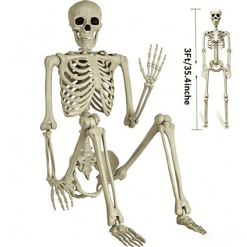 Haunt & Co 35" Halloween Skeleton Decoration - 3 ft Body with Posable Joints
