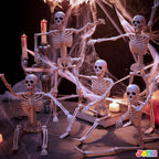 Haunt & Co 5 PCS Posable Halloween Skeleton Decor 16 Inches, Full Body Posable Joints Hanging Skeletons for , Graveyard Props, Haunted House Accessories, Spooky Scene Party Favors
