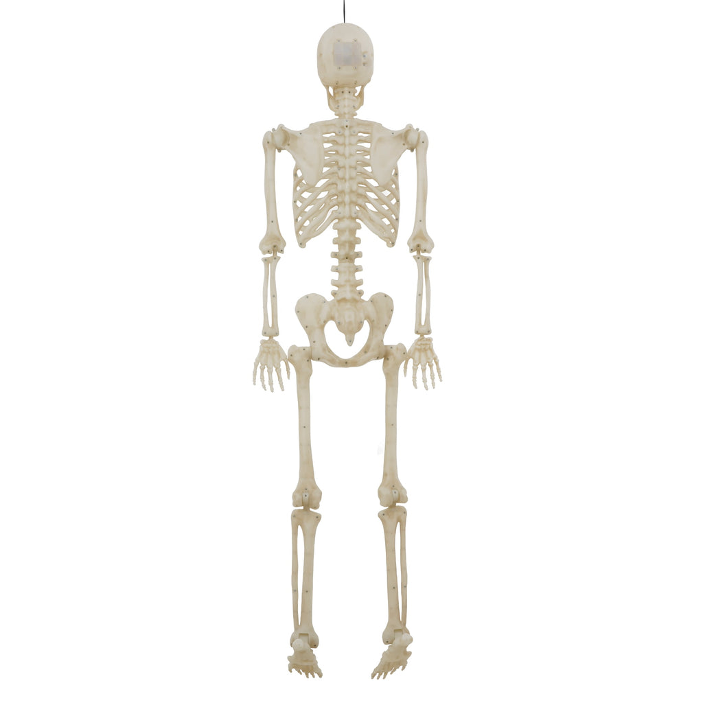 Haunt & Co 5-foot Poseable LED Illuminated Skeleton