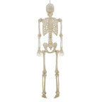 Haunt & Co 5-foot Poseable LED Illuminated Skeleton