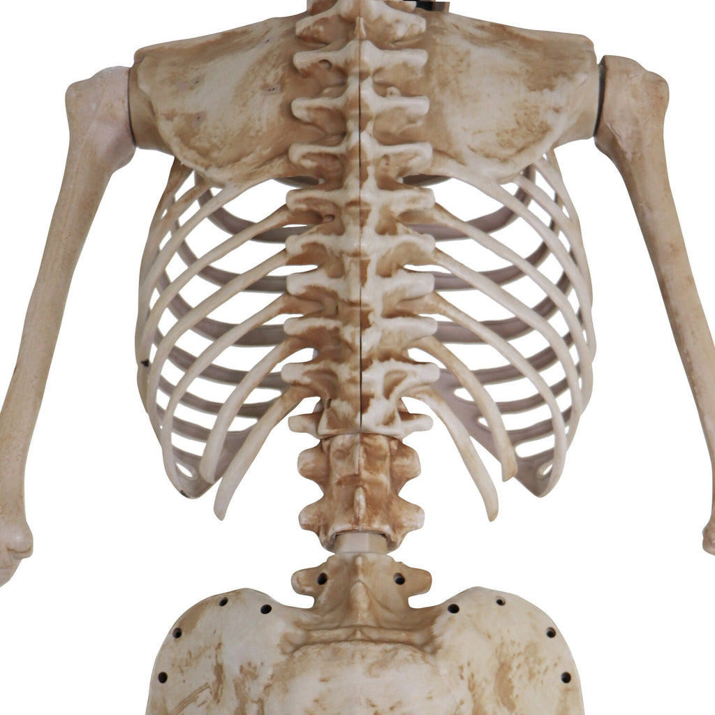 Haunt & Co 8 ft Tall Motion-Activated Towering Skeleton, Premium Talking Halloween Animatronic Decoration, Plug-In