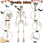 Haunt & Co OZMI Halloween Skeleton Decoration for Haunted House, 38 Inch Full Body Plastic Skull Skeleton with Posable Joints