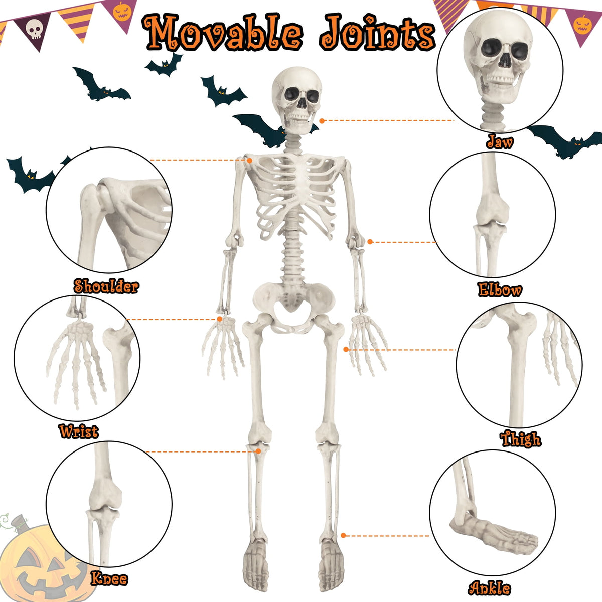 Haunt & Co OZMI Halloween Skeleton Decoration for Haunted House, 38 Inch Full Body Plastic Skull Skeleton with Posable Joints