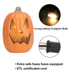 Haunt & Co 16in Pre-lit Halloween Pumpkin Jack O' Lantern with Bulbs