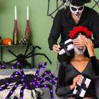 Haunt & Co Spider Webs Outdoor, 50" Light Up Giant Spider + 276" Triangular Spider Webs, Yard Outdoor