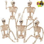 Haunt & Co 5 PCS Posable Halloween Skeleton Decor 16 Inches, Full Body Posable Joints Hanging Skeletons for , Graveyard Props, Haunted House Accessories, Spooky Scene Party Favors