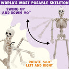 Haunt & Co 5 PCS Posable Halloween Skeleton Decor 16 Inches, Full Body Posable Joints Hanging Skeletons for , Graveyard Props, Haunted House Accessories, Spooky Scene Party Favors