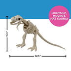 Haunt & Co 15 1/2" Animated Light-Up Tyrannosaurus Rex Skeleton - One Size