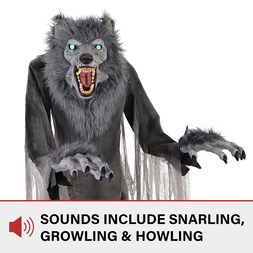 Haunt & Co 7 ft Tall Motion-Activated Towering Werewolf, Premium Halloween Animatronic, Plug-In