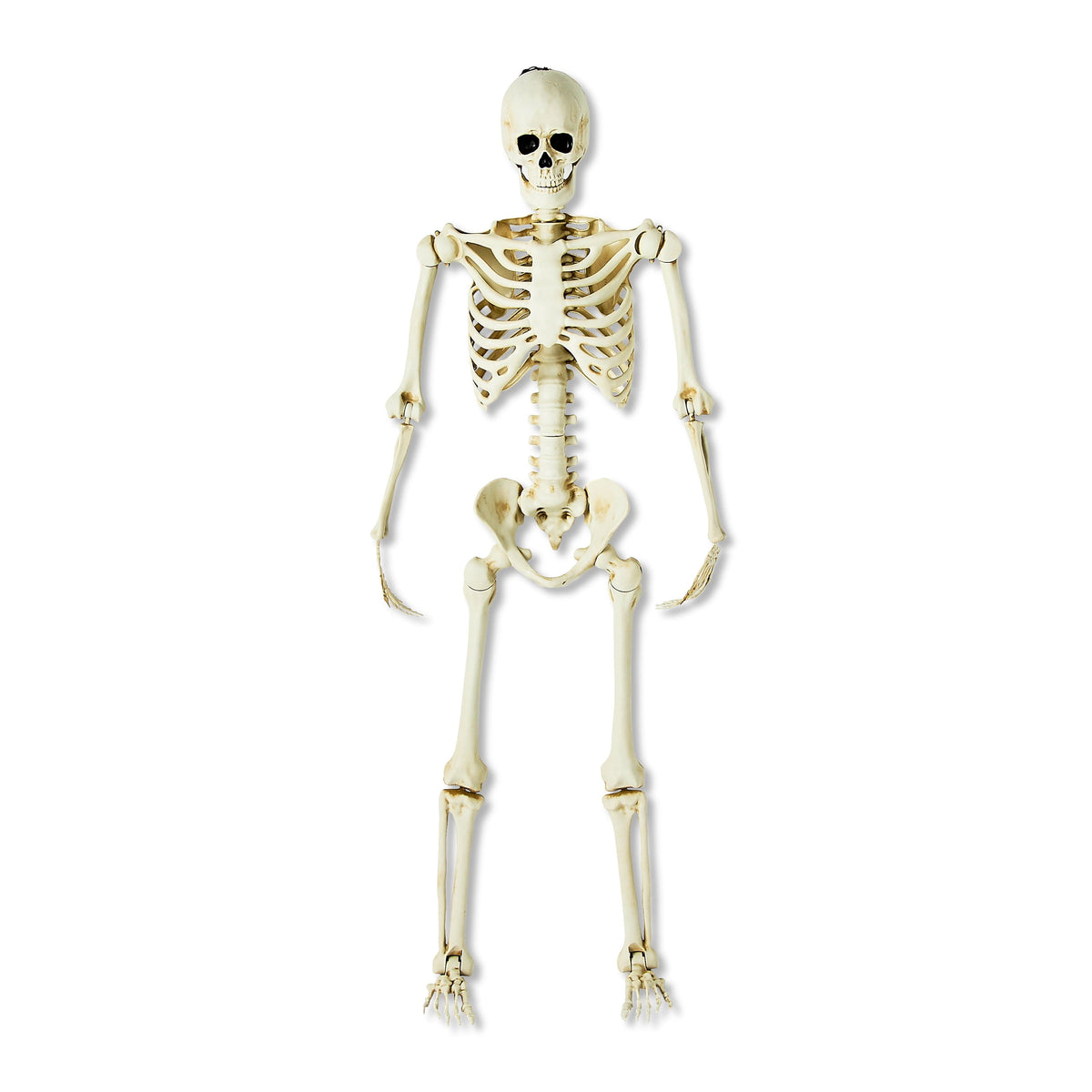 Haunt & Co Hanging Posable Skeleton Decoration, White, 5', Halloween