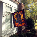 Haunt & Co Halloween Boykin Spaniel Dog House Flag 28x40IN Double-Sided Polyester Decorative Sleeve Pole Flag