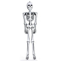 Haunt & Co 6' Inflatable Skeleton
