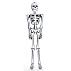Haunt & Co 6' Inflatable Skeleton