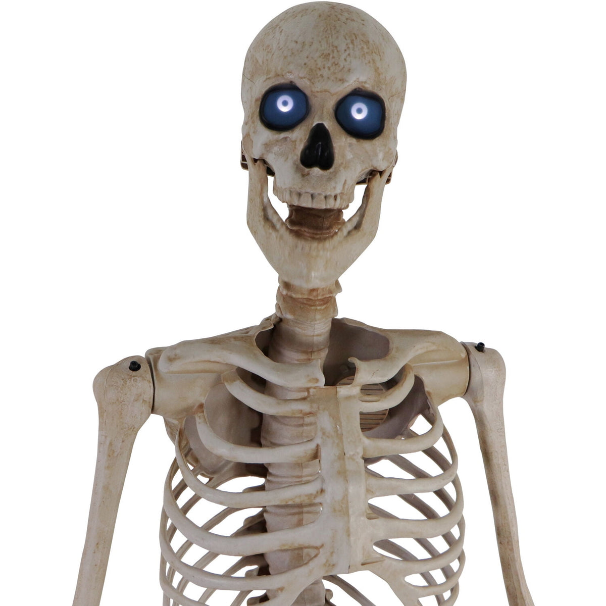 Haunt & Co 8 ft Tall Motion-Activated Towering Skeleton, Premium Talking Halloween Animatronic Decoration, Plug-In