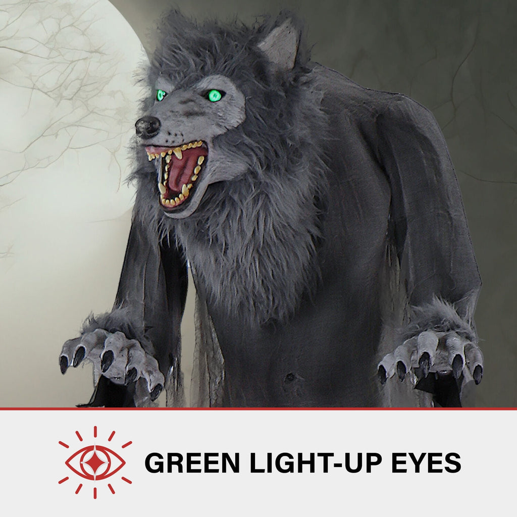 Haunt & Co 7 ft Tall Motion-Activated Towering Werewolf, Premium Halloween Animatronic, Plug-In