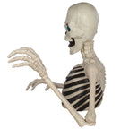 Haunt & Co 48" Halloween Giant Groundbreaker Skeleton with LED Light Moving Eyes, Creepy Sound Effect