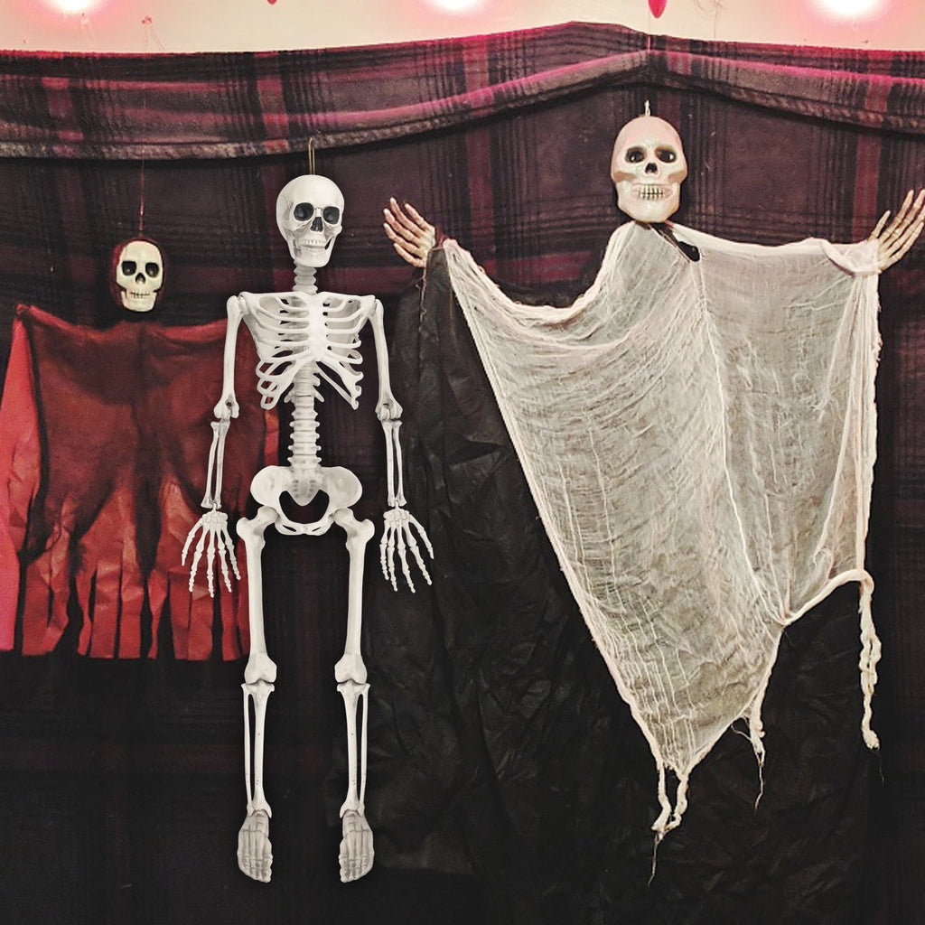Haunt & Co OZMI Halloween Skeleton Decoration for Haunted House, 38 Inch Full Body Plastic Skull Skeleton with Posable Joints