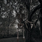 Haunt & Co 8 ft Tall Motion-Activated Towering Skeleton, Premium Talking Halloween Animatronic Decoration, Plug-In