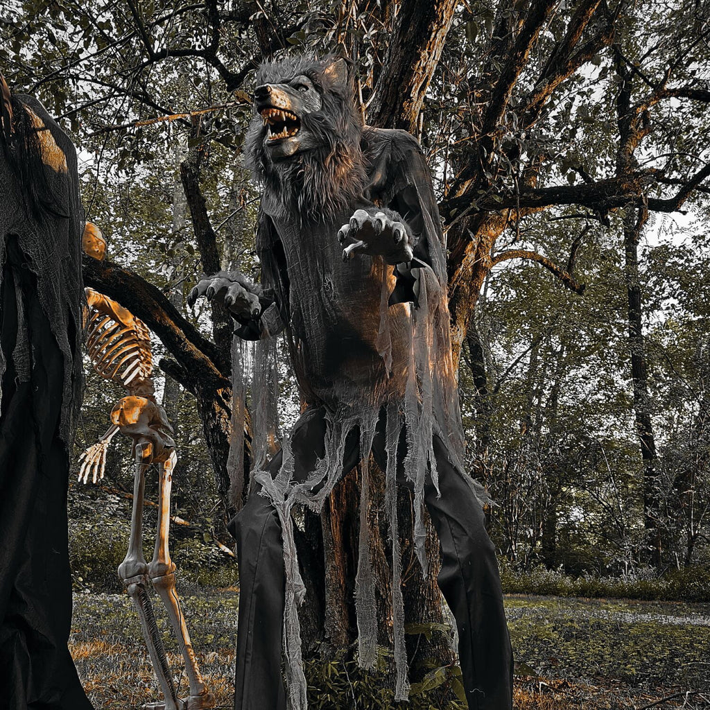 Haunt & Co 7 ft Tall Motion-Activated Towering Werewolf, Premium Halloween Animatronic, Plug-In