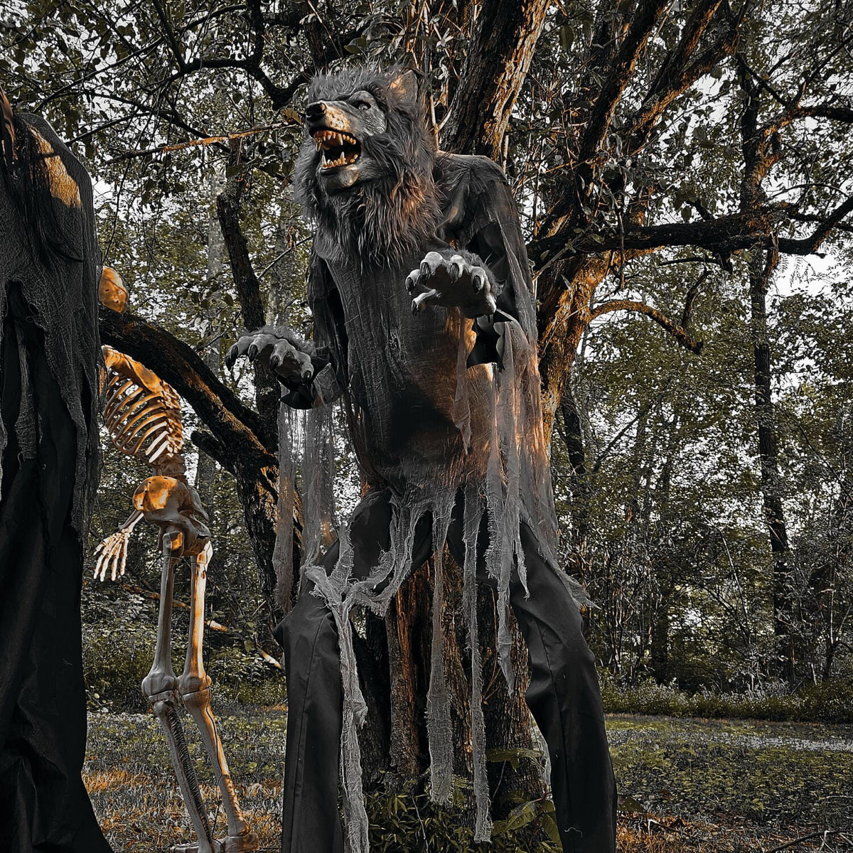 Haunt & Co 7 ft Tall Motion-Activated Towering Werewolf, Premium Halloween Animatronic, Plug-In
