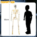 Haunt & Co 36" Full Body Skeleton Decoration,Halloween Posable Skeleton with Lights, Posable Joints Gothic Skeletons Decoration
