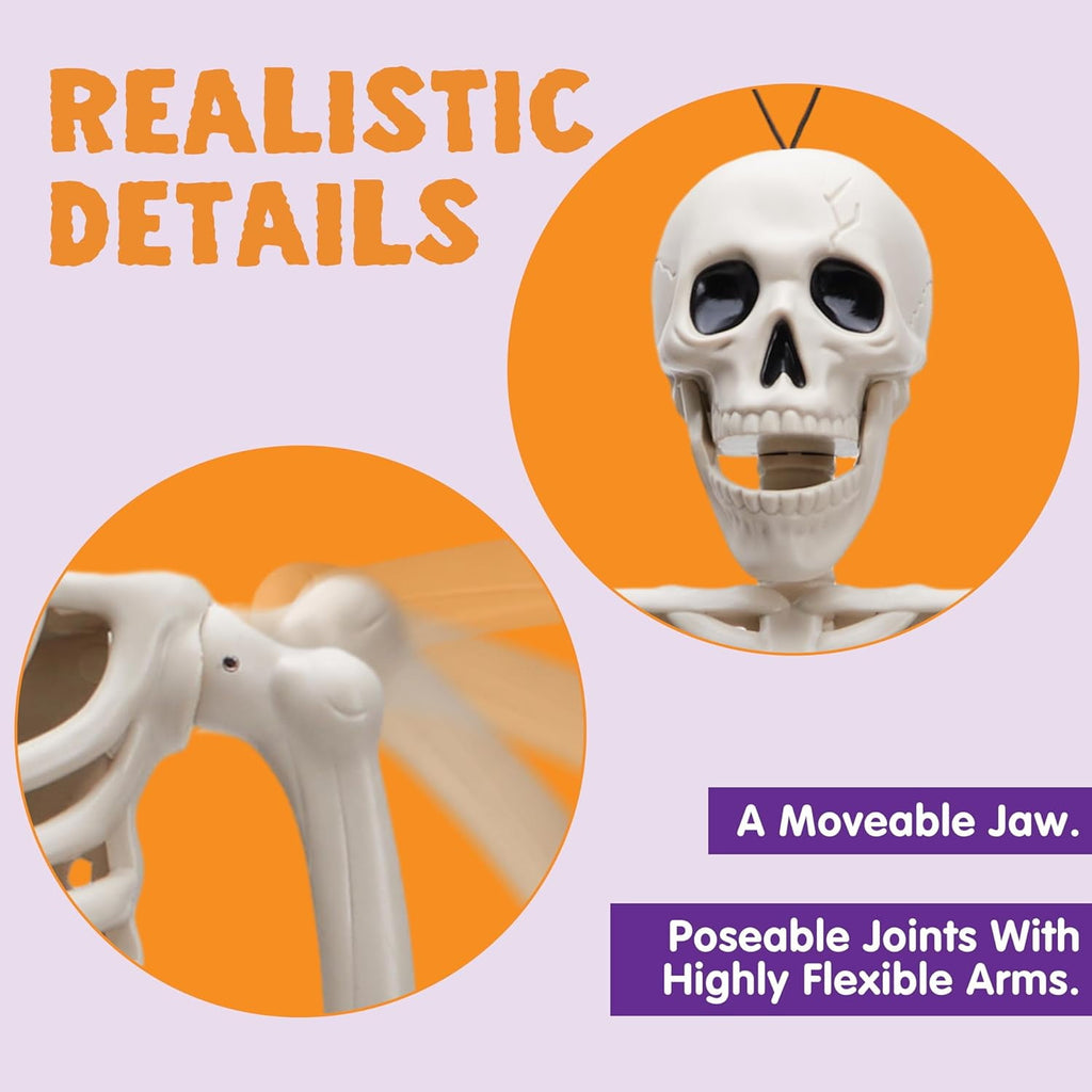Haunt & Co 5 PCS Posable Halloween Skeleton Decor 16 Inches, Full Body Posable Joints Hanging Skeletons for , Graveyard Props, Haunted House Accessories, Spooky Scene Party Favors