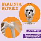 Haunt & Co 5 PCS Posable Halloween Skeleton Decor 16 Inches, Full Body Posable Joints Hanging Skeletons for , Graveyard Props, Haunted House Accessories, Spooky Scene Party Favors