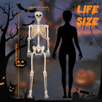 Haunt & Co 5.4 ft Halloween skeleton decoration, with movable joints, flexible skeleton for poses, scary skeleton suitable