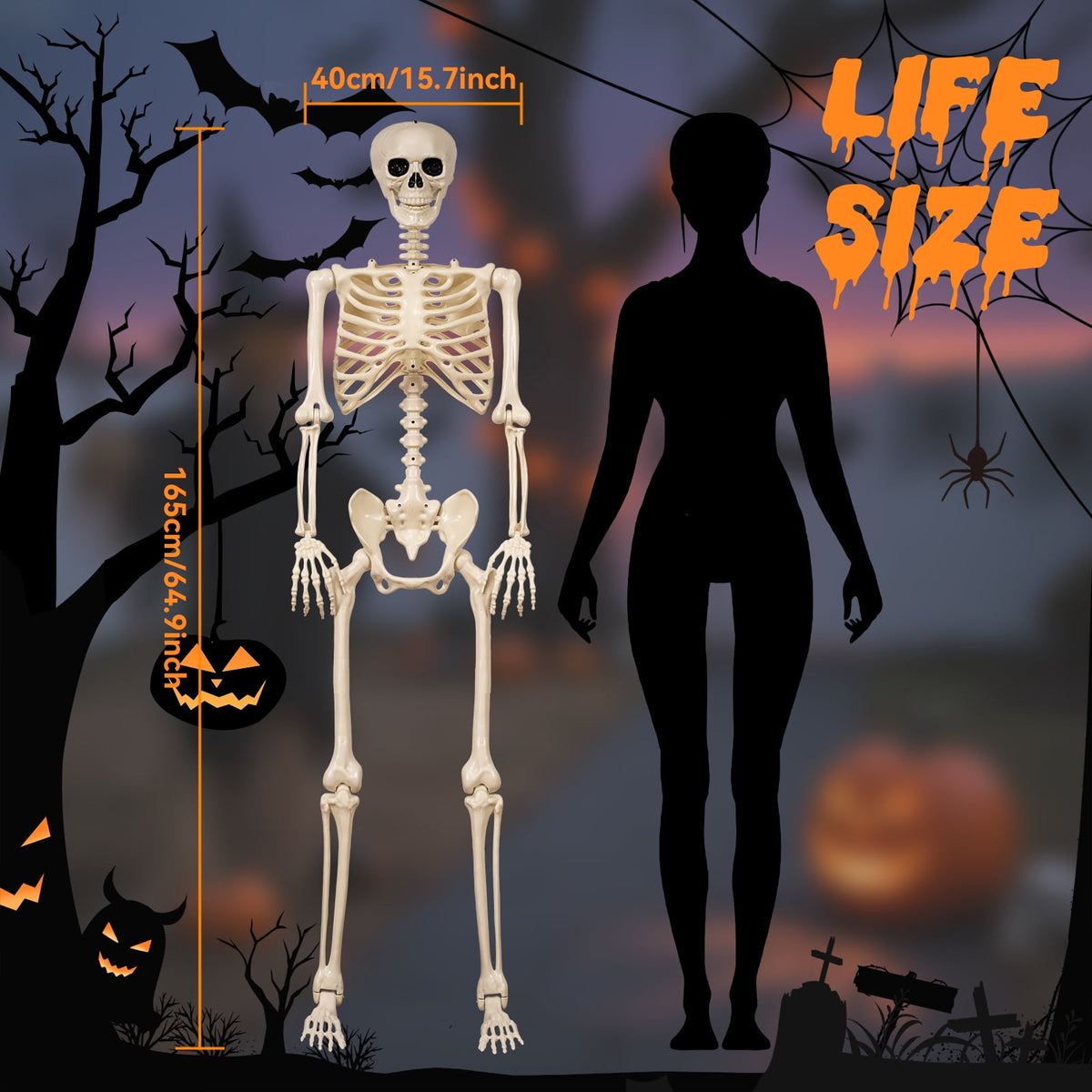 Haunt & Co 5.4 ft Halloween skeleton decoration, with movable joints, flexible skeleton for poses, scary skeleton suitable