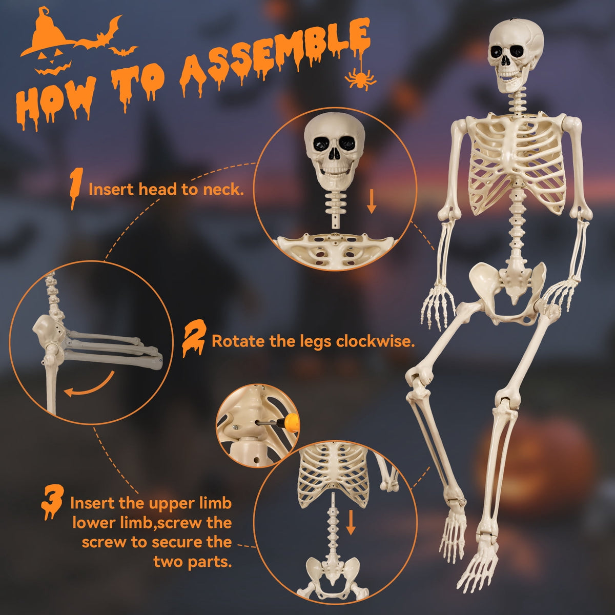 Haunt & Co 5.4 ft Halloween skeleton decoration, with movable joints, flexible skeleton for poses, scary skeleton suitable