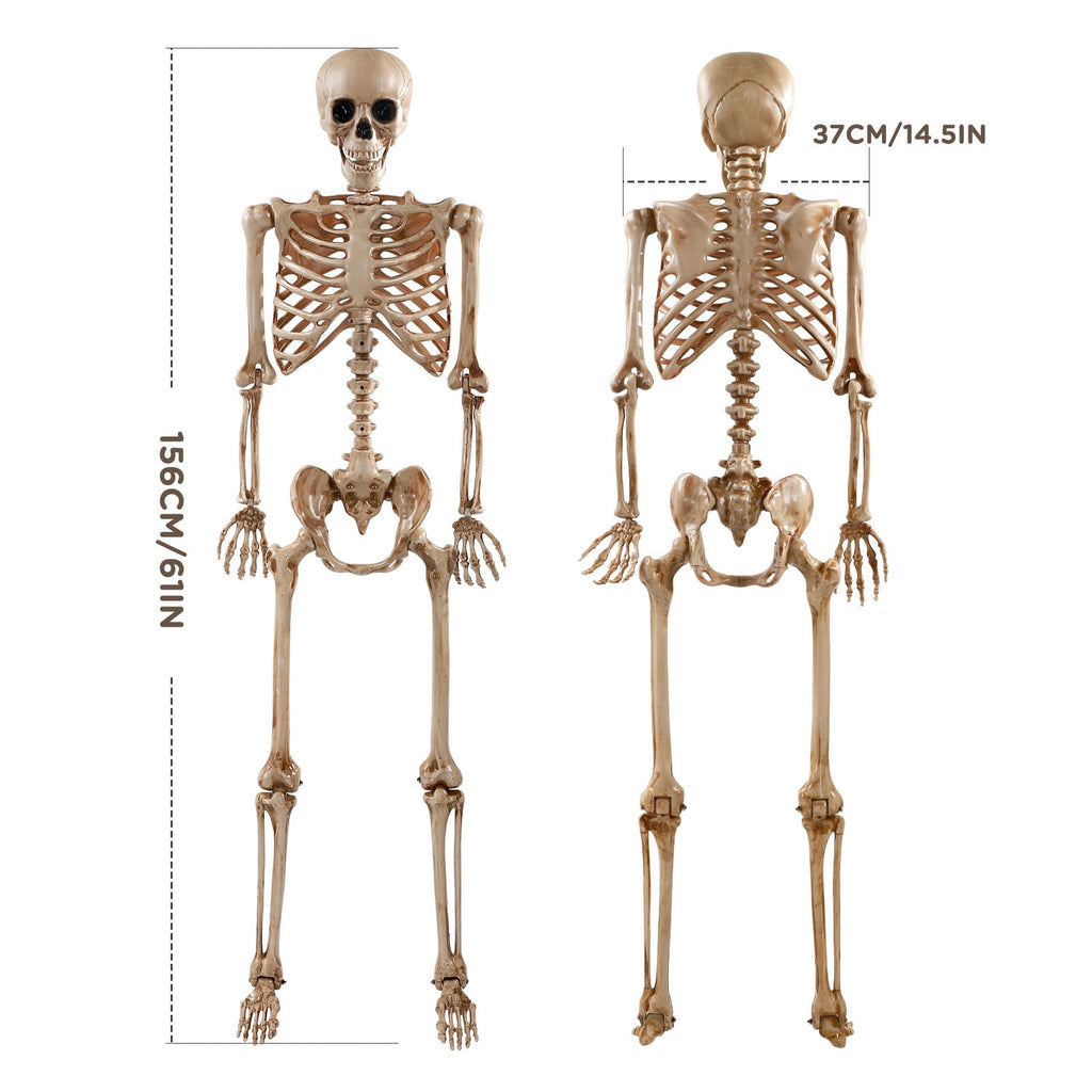 Haunt & Co 5.4ft Halloween Skeleton Decorations, Weathered Posable Skeleton Decor for Outdoor Indoor
